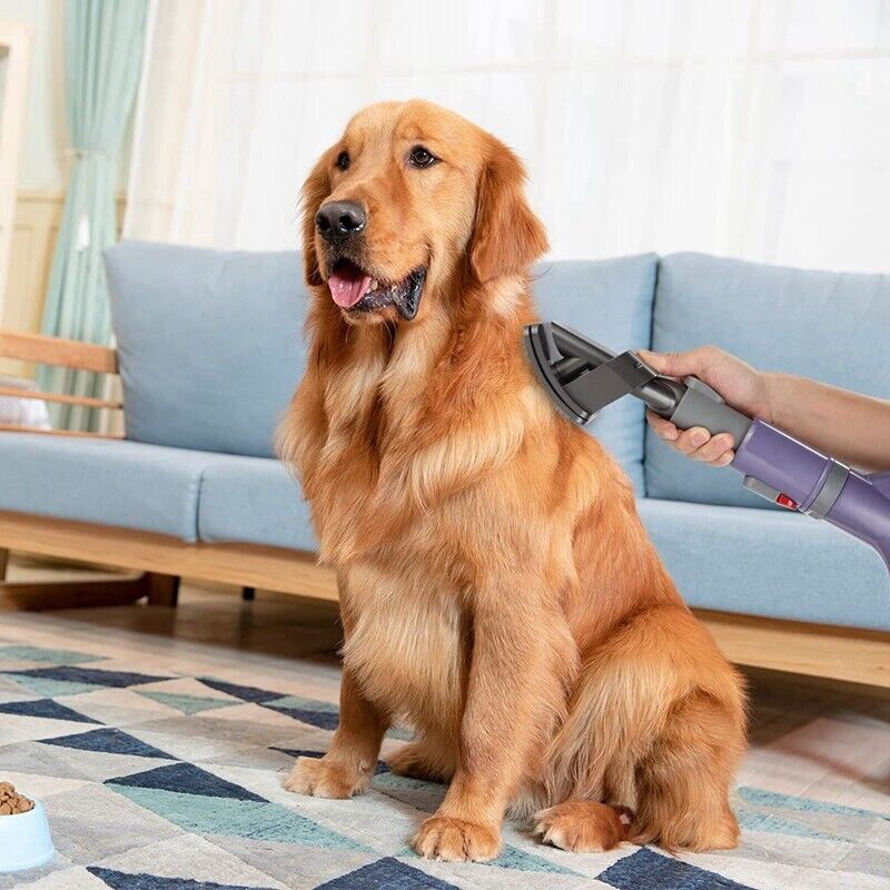 Dog Grooming Attachment